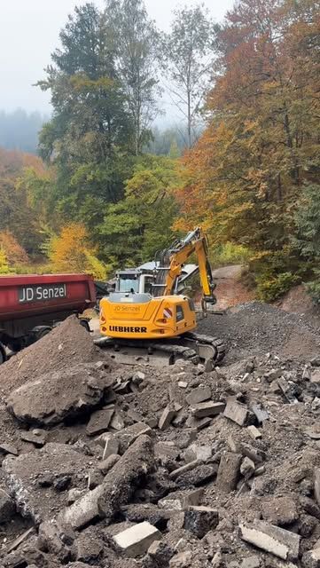 Bagger von JD Senzel bei Arbeiten am Waldrand im Herbst